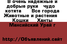 В очень надежные и добрые руки - чудо - котята!!! - Все города Животные и растения » Кошки   . Ханты-Мансийский,Урай г.